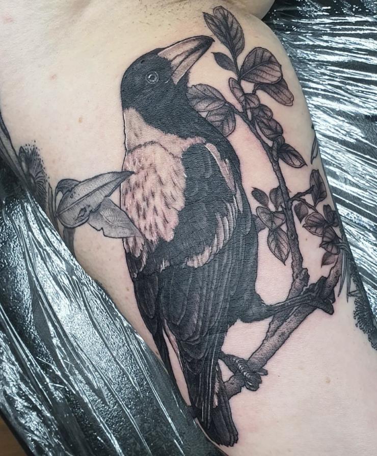 Tattoo uploaded by Stacie Mayer • Magpie by Lee Sheehan. #blackandgrey  #realism #bird #magpie #LeeSheehan • Tattoodo